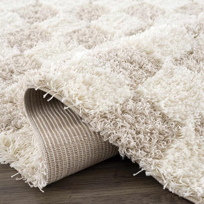 Hauteloom Atira Hallway, Kitchen Runner Rug - Contemporary - Plush Pile - Cream, Light Beige, Light Brown - 2'7" x 18'