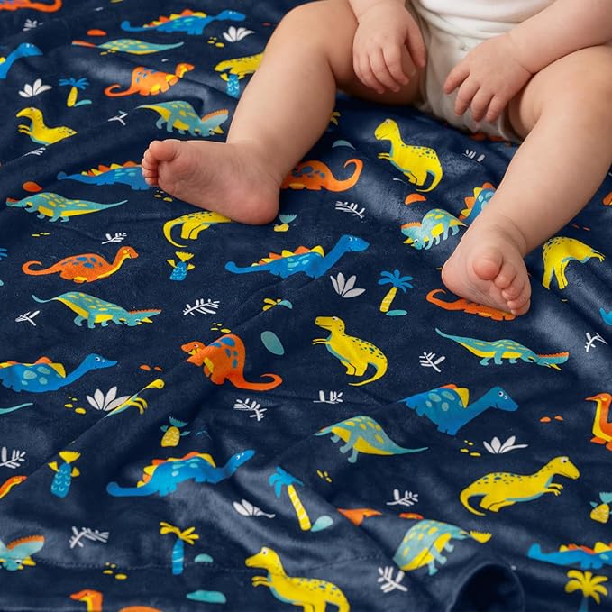 david's kids Micro Fleece Minky Baby Blanket for Boys with Double Layer and Soothing Raised Dots, Breathable and Soft Lightweight Receiving Blanket for Newborns, 30x40 Inches, Dinosaur