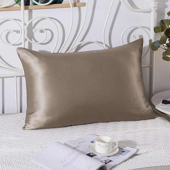 SLPBABY 100% Natural Pure Silk Pillowcase for Hair and Skin, Both Side 19 Momme Silk, Luxury Smooth Satin Pillowcase Cover with Hidden Zipper (Queen, Taupe)