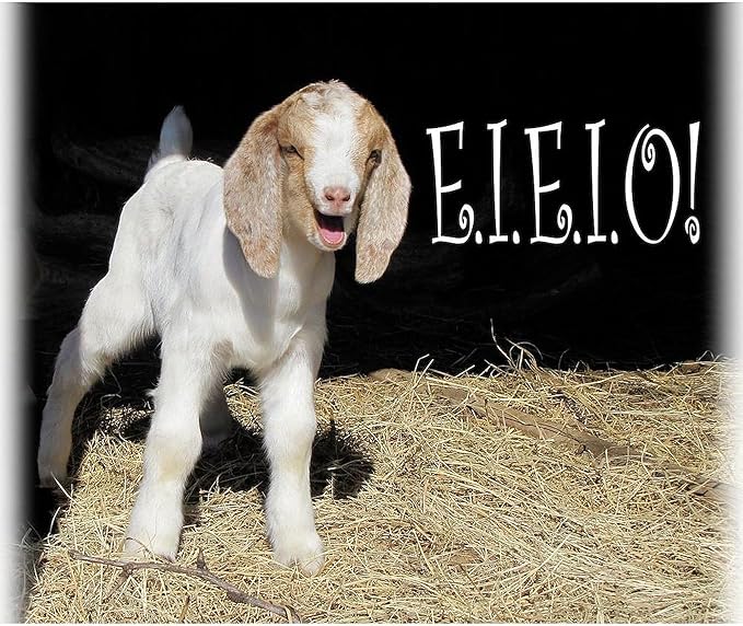 CafePress Baby Goat E.I.E.I.O Throw Blanket Super Soft Fleece Plush Throw Blanket, 60"x50"