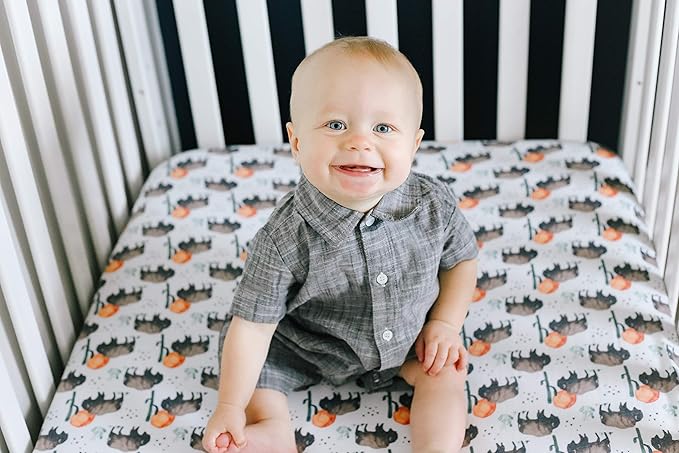 Copper Pearl Premium Knit Baby Crib Sheets for Boys and Girls Breathable and Soft, Fitted Crib Sheets for Standard Baby Mattresses, Bison