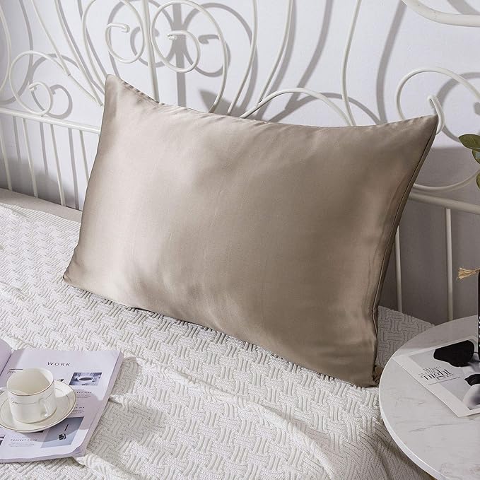 SLPBABY 100% Natural Pure Silk Pillowcase for Hair and Skin, Both Side 19 Momme Silk, Luxury Smooth Satin Pillowcase Cover with Hidden Zipper (Standard(20''x26''), Taupe)