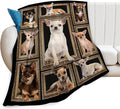 Cute Chihuahua Blanket for Girls Boys Funny Dog Throw Blankets Soft Cozy Warm Fuzzy Fleece Pet Bedding Flannel Throws Stuffed Animal Gifts for Chihuahua Lovers Kids Men Women Bedroom Decor 50"x40"