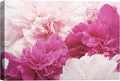SIGNWIN Canvas Wall Art Bouquet of Blush Pink, Red and White Peony Floral Flower Photography Modern Art Romantics Closeup Relax/Calm Duotone for Living Room, Bedroom, Office - 32x48 inches
