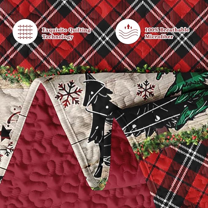 Christmas Full/Queen Size Quilt Set, Black Red Plaid Lightweight Bedspread Coverlet with Pillow Shams for Kids and Adults, Retro Colorful Pine Tree 3 Pcs Bedding Bed Cover
