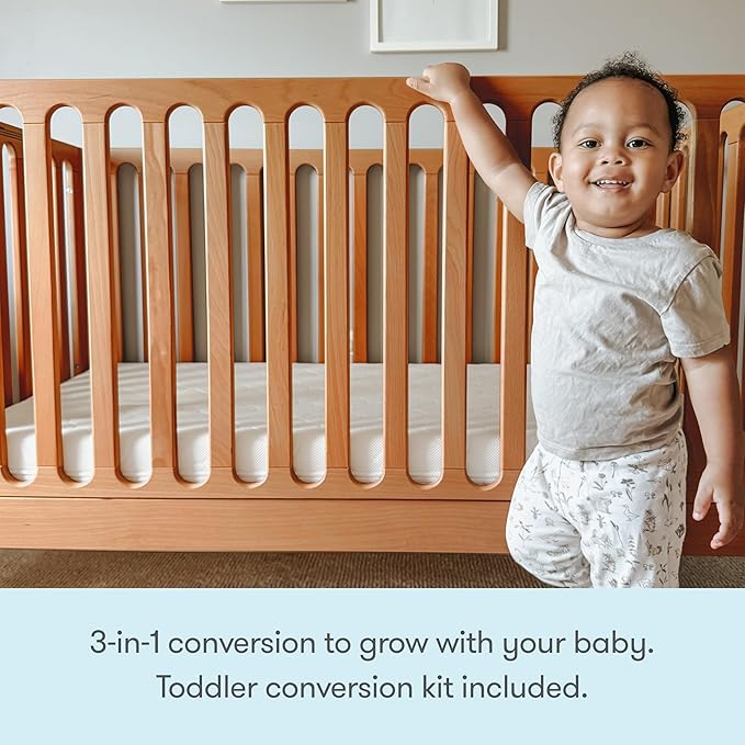 Newton Baby Galileo Standard Crib, Solid Beech Wood in Chestnut Color, 3-in-1 Convertible Crib with Toddler Bed Conversion Kit, Baby-Safe Finish
