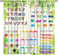 Kids Alphabet Curtain Cartoon Animal Nursery Rustic Leaves Plant Funny School Education Learning Tools Printed Rod Pocket Blackout Window Drapes for Bedroom Living Room 63" W X 72" L