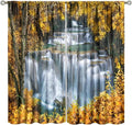 Waterfall Blackout Curtain, Autumn Season Trees Leaves Natural Landscape Window Drapes, for Bedroom Living Room 42" W X 63" L