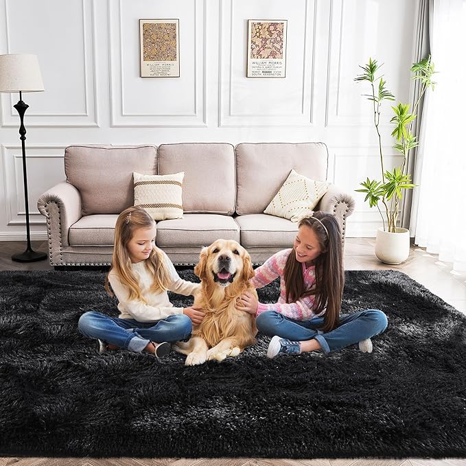 Fluffy Rug Flame Resistant 5x7 Feet, Black Throw Rugs for Living Room, Ultra Soft Shag Fuzzy Plush Carpets Indoor