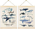 Ecezatik Whale Wall Art Set of 2, Whale Posters, Hanging Wall Art Decor for Classroom, Nursery, Kids Room, Playroom, Beach, Ocean Room Decor, 12x16 Inch