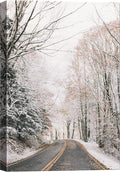 SIGNWIN Canvas Wall Art Woodland Nursery Decor Winter Trees Cool Dramatic Forest Multicolor Nature Photography Rustic - 12x18 inches