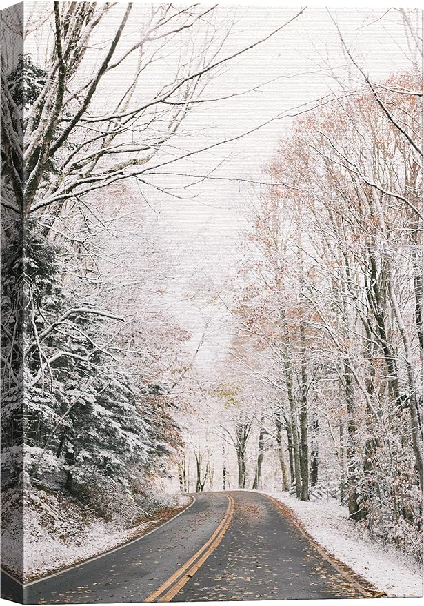 SIGNWIN Canvas Wall Art Woodland Nursery Decor Winter Trees Cool Dramatic Forest Multicolor Nature Photography Rustic - 24x36 inches