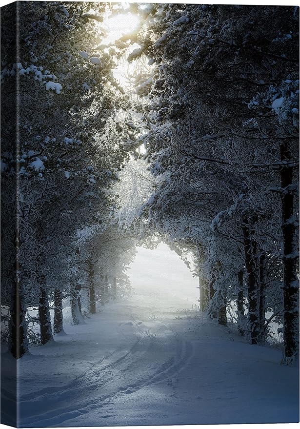 SIGNWIN Canvas Wall Art Woodland Nursery Decor Winter Trees Cool Dramatic Forest Multicolor Nature Photography Rustic - 12x18 inches