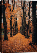 SIGNWIN Canvas Wall Art Orange Autumn Garden Path Nature Forest Realism Rustic Scenic Dramatic Multicolor Cool for Living Room - 12"x18" inches