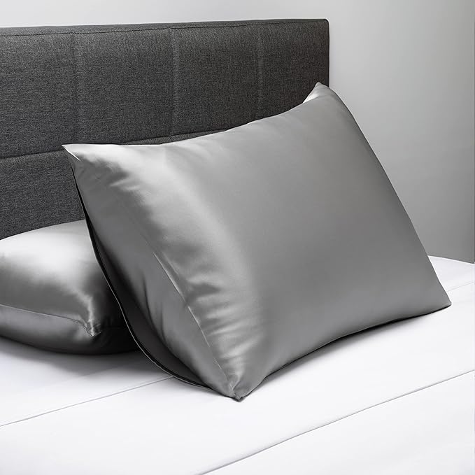 Fishers Finery 25mm 100% Pure Mulberry Silk Pillowcase 2 Pack (Silver Queen 2 Pack)