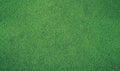 Kate Photography Floor Mats Green Grassland Floor Backdrop Wall Rubber Mat Newborn Photography Props for Professional Photo Shoot Studio 8x5ft