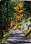 SIGNWIN Canvas Wall Art Green Forest Path Nature Forest Photography Realism Rustic Scenic Dramatic Multicolor Cool for Living Room - 24"x36" inches