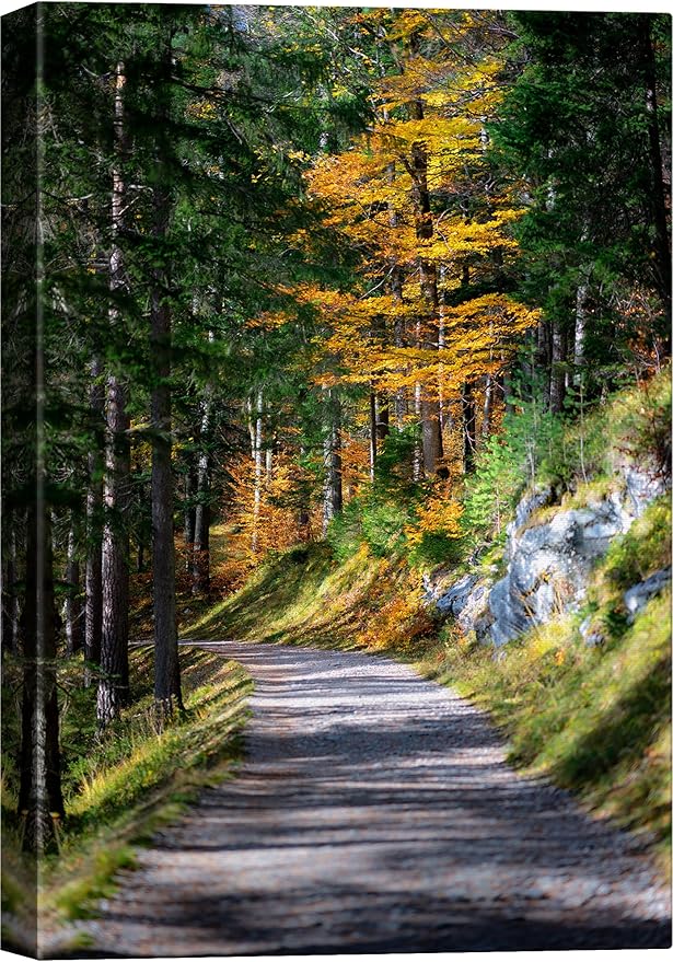SIGNWIN Canvas Wall Art Green Forest Path Nature Forest Photography Realism Rustic Scenic Dramatic Multicolor Cool for Living Room - 12"x18" inches