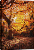 SIGNWIN Canvas Print Wall Art Autumn Red Leaf Oak Tree Forest Nature Wilderness Photography Modern Art Farmhouse/Country Landscape Colorful Multicolor Ultra for Living Room, Bedroom, Office - 16x24