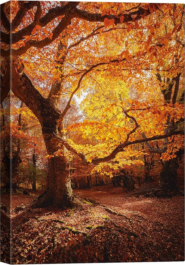 SIGNWIN Canvas Print Wall Art Autumn Red Leaf Oak Tree Forest Nature Wilderness Photography Modern Art Farmhouse/Country Landscape Colorful Multicolor Ultra for Living Room, Bedroom, Office - 24x36