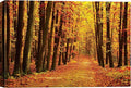 SIGNWIN Canvas Print Wall Art Walk Through Red Yellow Leaf Autumn Forest Nature Wilderness Photography Modern Art Rustic Landscape Relax/Calm Multicolor for Living Room, Bedroom, Office - 24x36