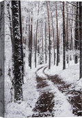 SIGNWIN Canvas Wall Art Winter Trees Cool Dramatic Forest Multicolor Nature Photography Rustic - 24x36 inches