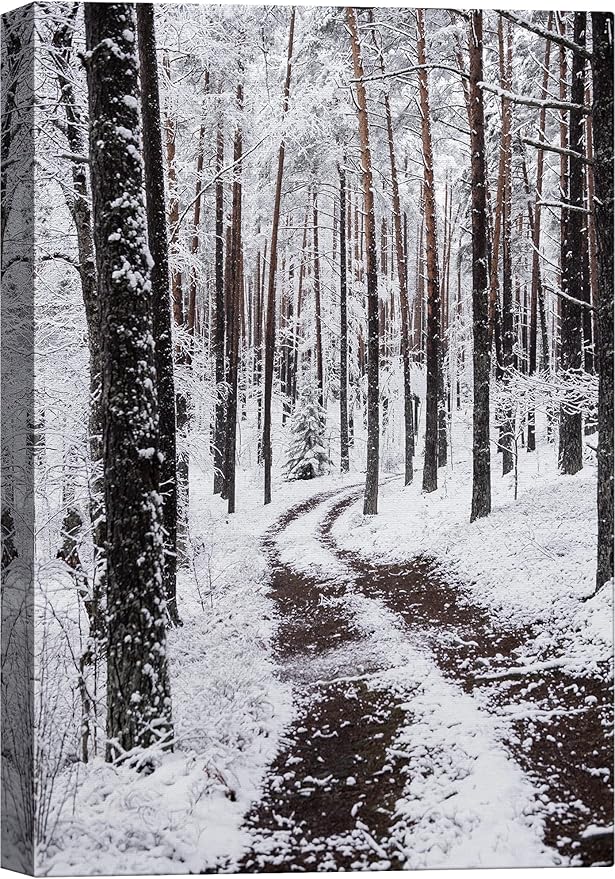 SIGNWIN Canvas Wall Art Winter Trees Cool Dramatic Forest Multicolor Nature Photography Rustic - 24x36 inches