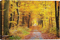 SIGNWIN-Canvas Wall Art-Sunshine in The Forest -Canvas Prints Home Artwork Decoration for Living Room,Bedroom - 24x36 inches