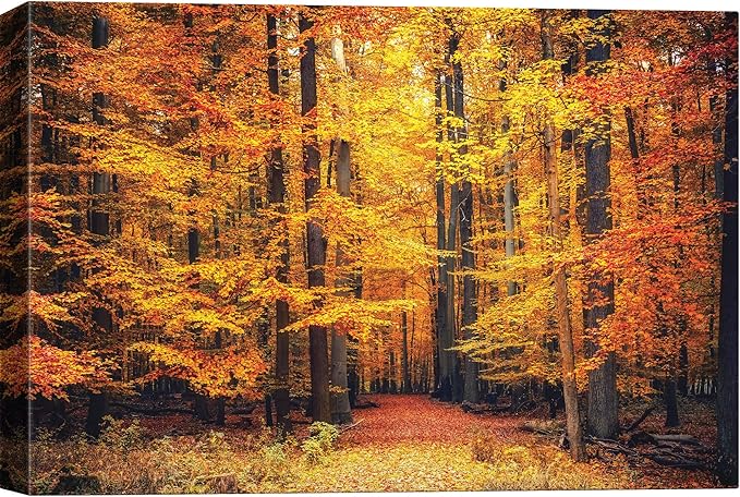 SIGNWIN Canvas Print Wall Art Golden Red Autumn Tree Leaf Forest Trail Nature Wilderness Photography Modern Art Rustic Landscape Relax/Calm Multicolor for Living Room, Bedroom, Office - 12x18