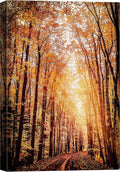 SIGNWIN Canvas Print Wall Art Rustic Trail Red Autumn Forest Nature Wilderness Photography Modern Art Farmhouse/Country Landscape Colorful Multicolor Ultra for Living Room, Bedroom, Office - 16x24